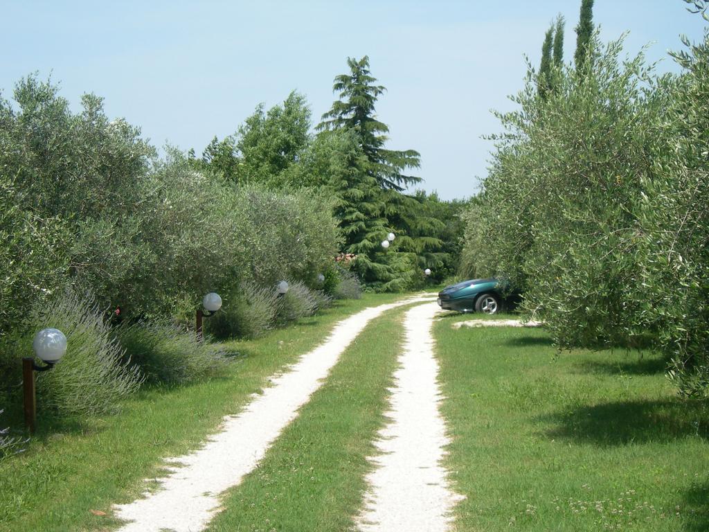 Bed and Breakfast Vista Ассизи Экстерьер фото